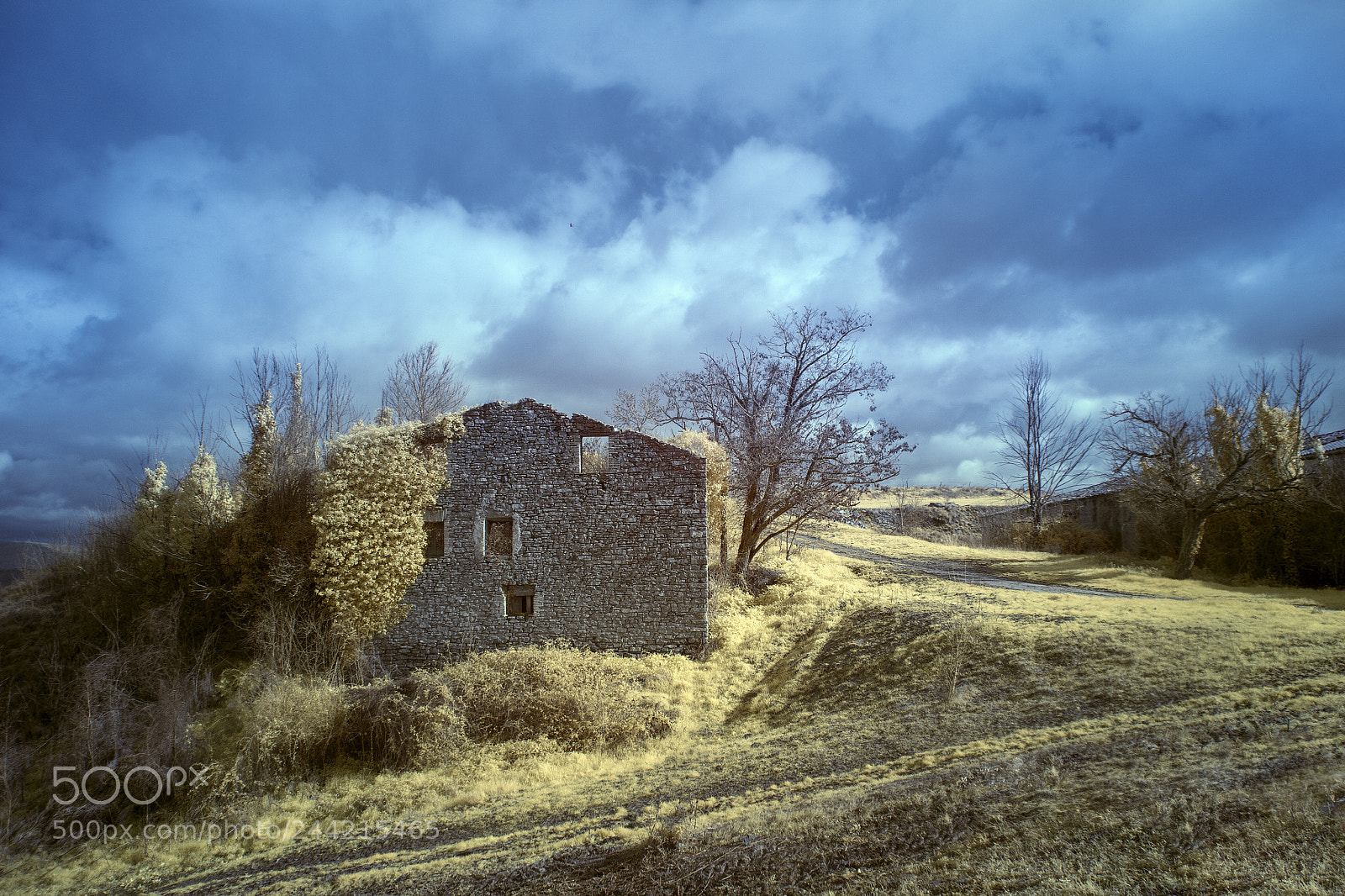 Canon EOS 5D sample photo. Crossroad... photography