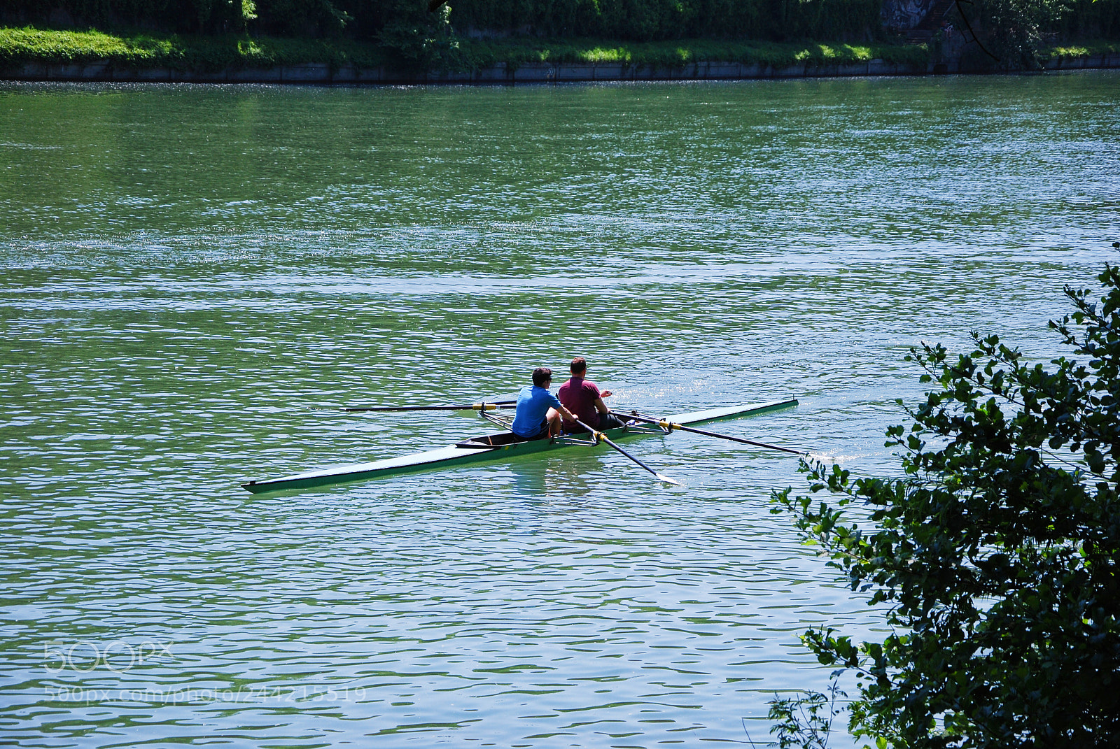 Nikon D60 sample photo. Double sculls photography