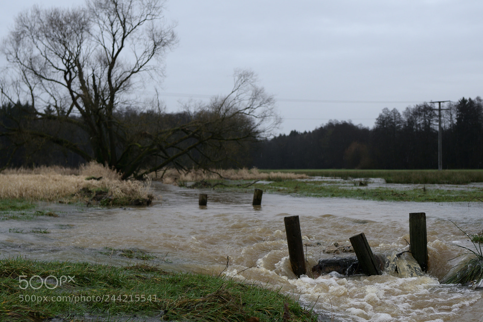 Nikon D7500 sample photo. Symptoms of a warm photography