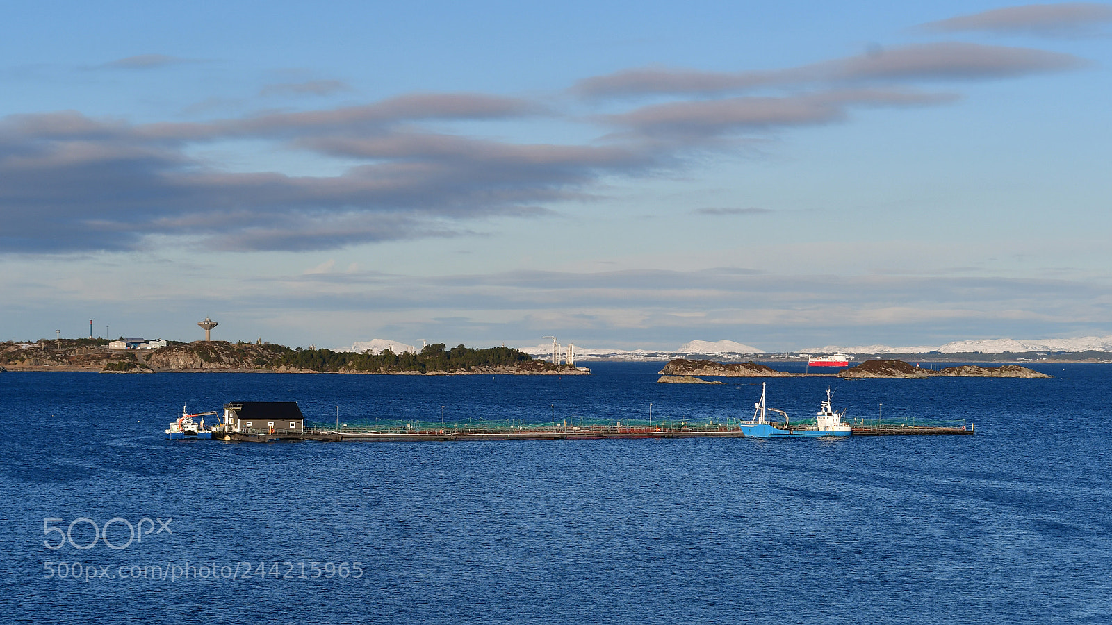 Nikon D500 sample photo. Salmonfarm photography