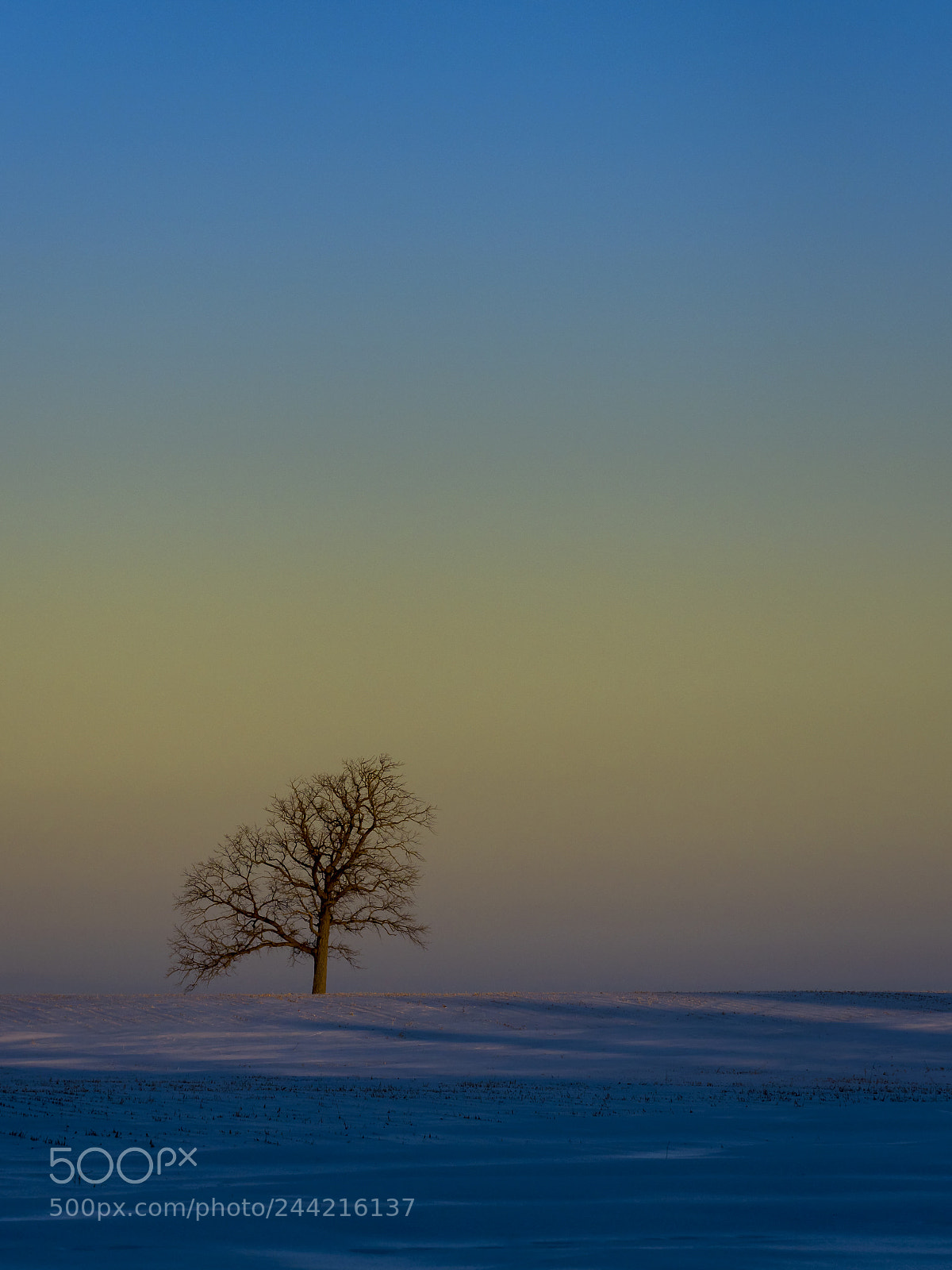 Olympus OM-D E-M1 Mark II sample photo. Alone at dawn photography