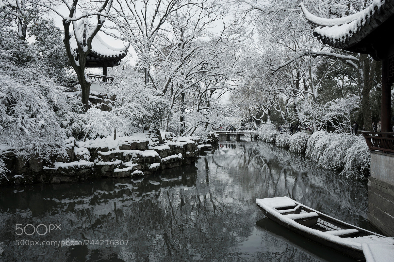 Sony a7 II sample photo. 忽如一夜春风来 photography