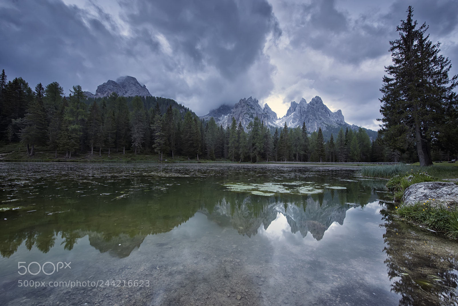 Nikon D610 sample photo. Dolomiti park photography