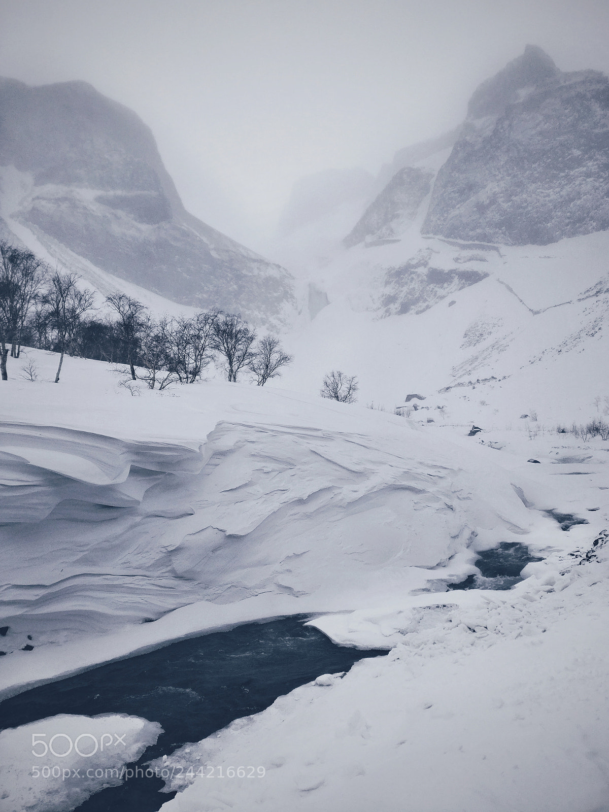 OnePlus A3000 sample photo. Changbai mountains photography