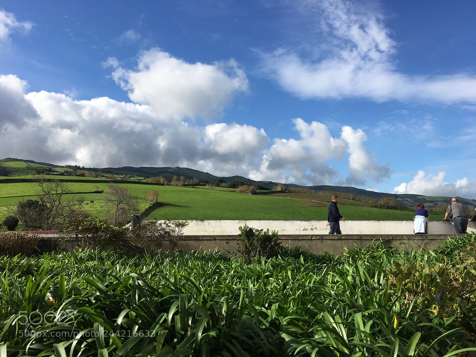 Apple iPhone 6s Plus sample photo. The man on top photography
