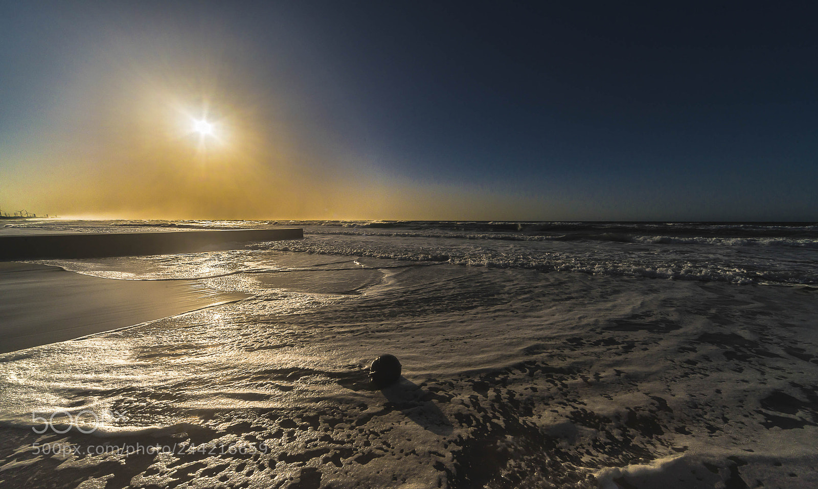Nikon D800 sample photo. Morning sun 2 photography