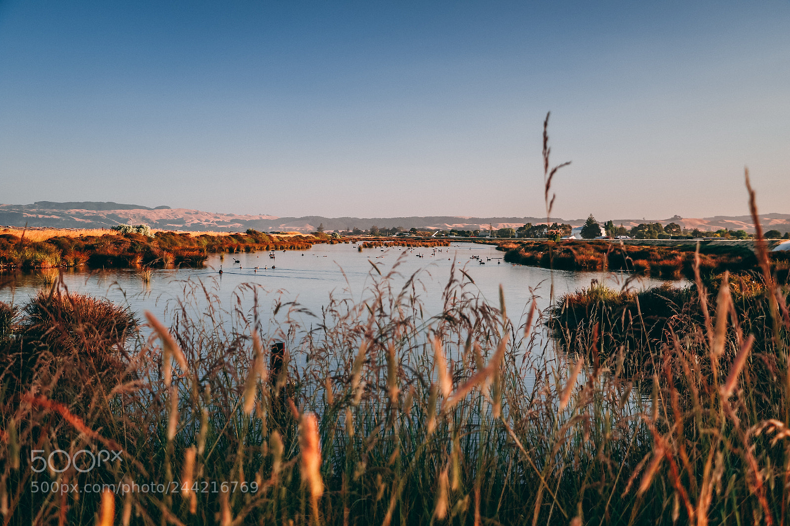 Canon EOS 7D Mark II sample photo. Nz photography