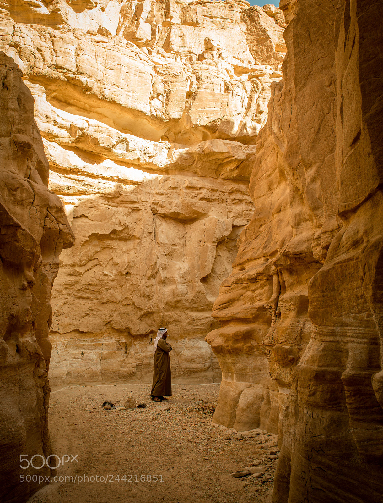 Nikon D800 sample photo. Bedu n ve skal photography
