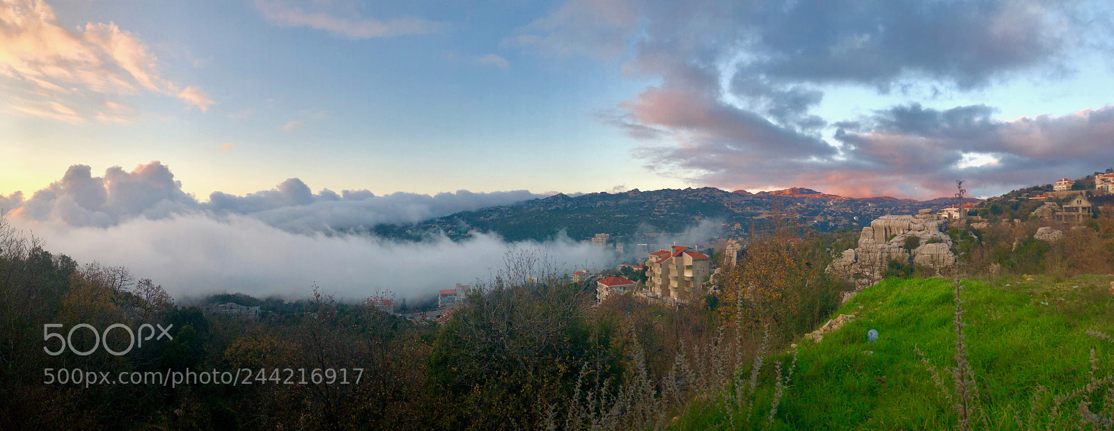 Apple iPhone X sample photo. Coming fog photography