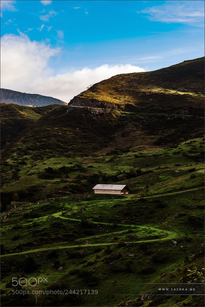 Sony Alpha a99 sample photo. Beautiful zigzag rural road photography