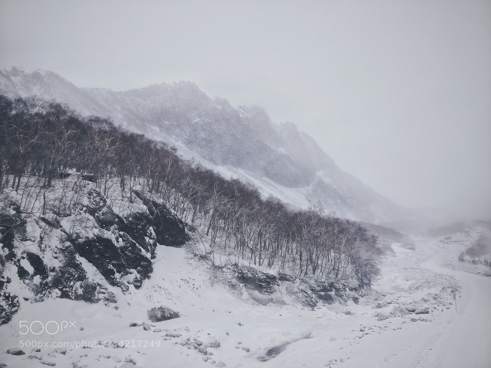 OnePlus A3000 sample photo. Changbai mountains photography
