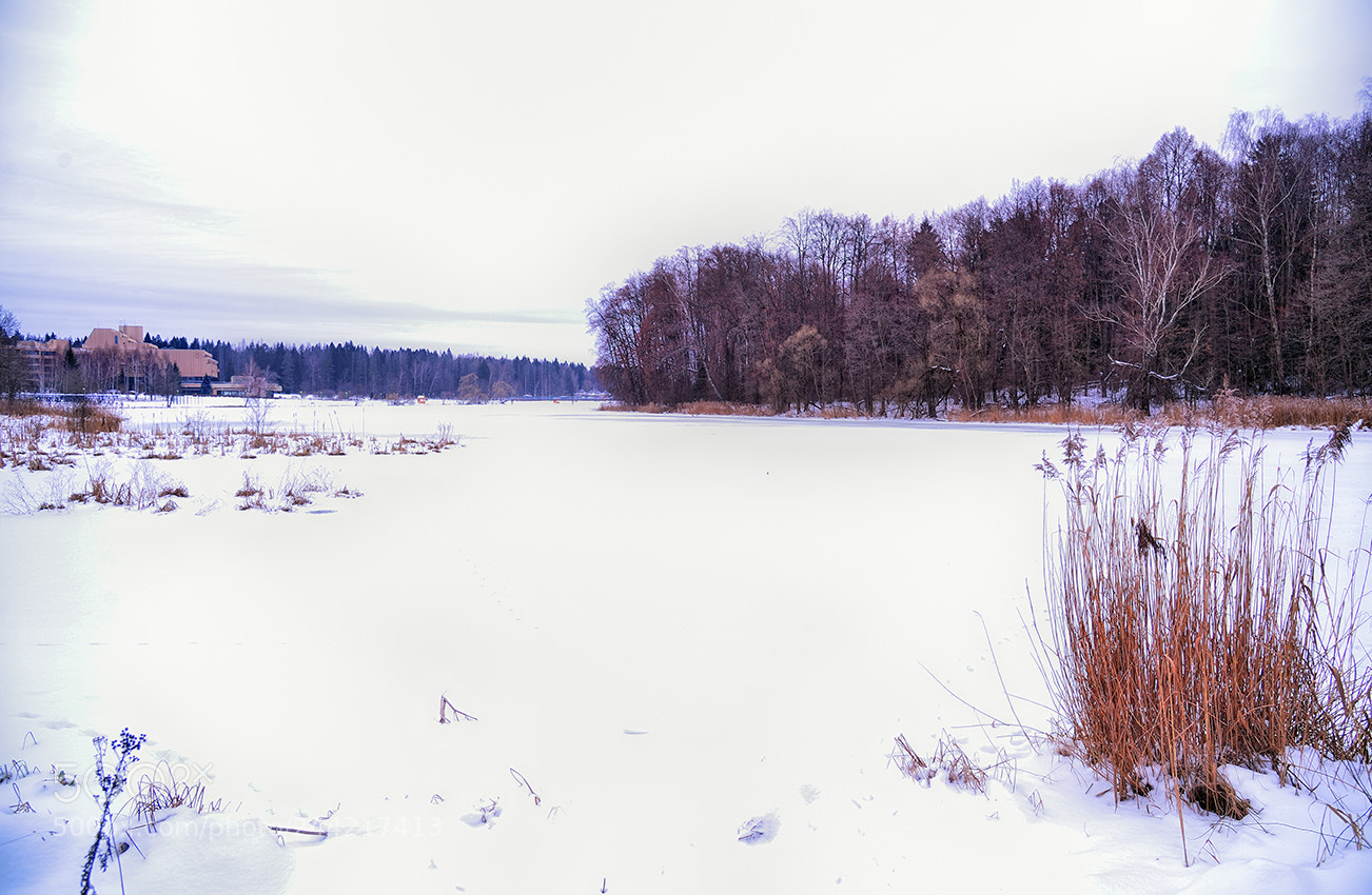 Nikon Df sample photo. Untitled photography