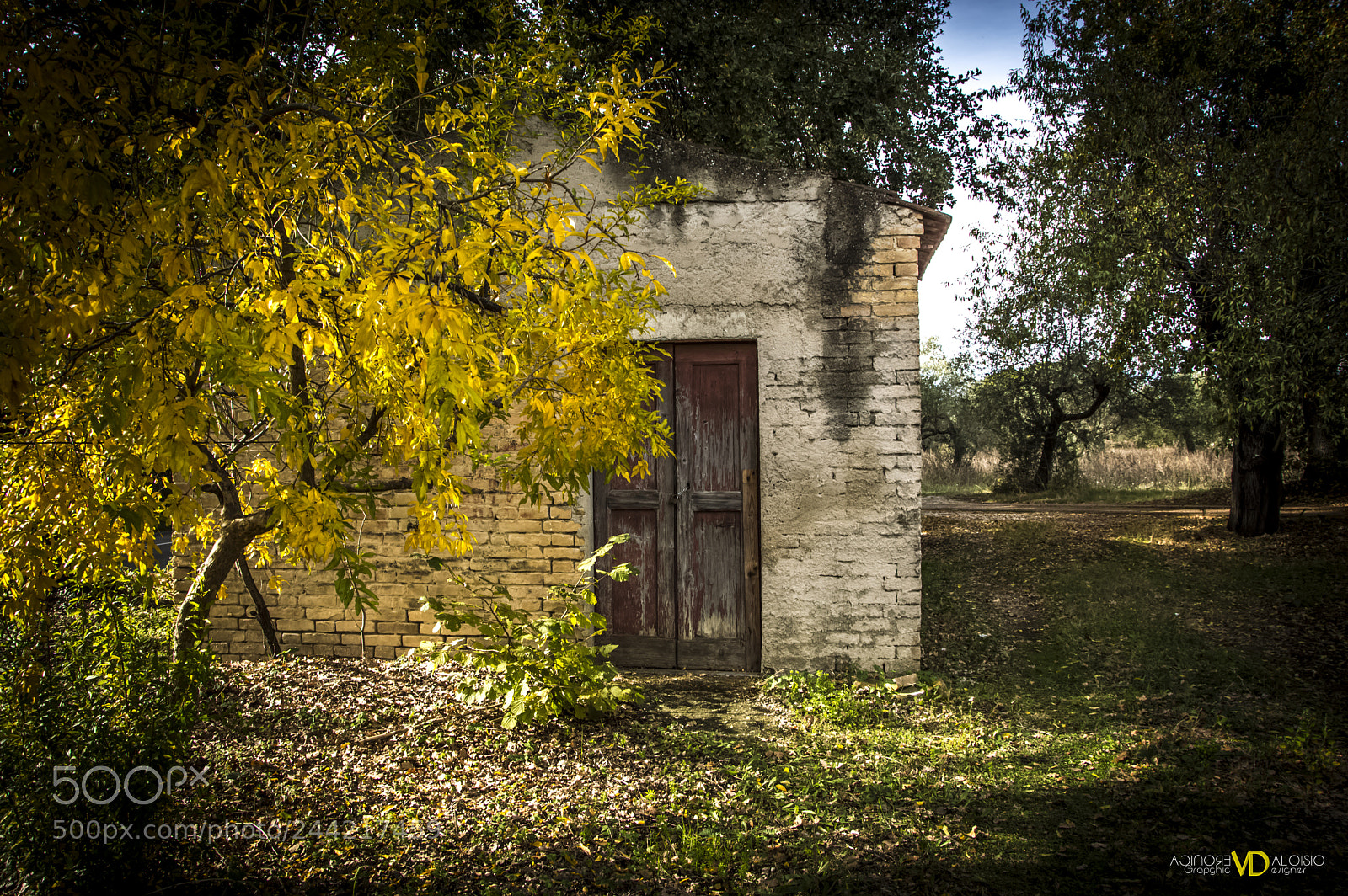 Nikon D3200 sample photo. Old house photography