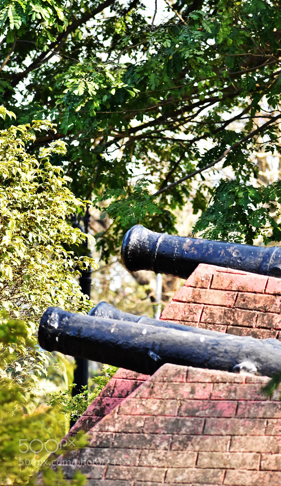 Nikon D3400 sample photo. Dsc photography