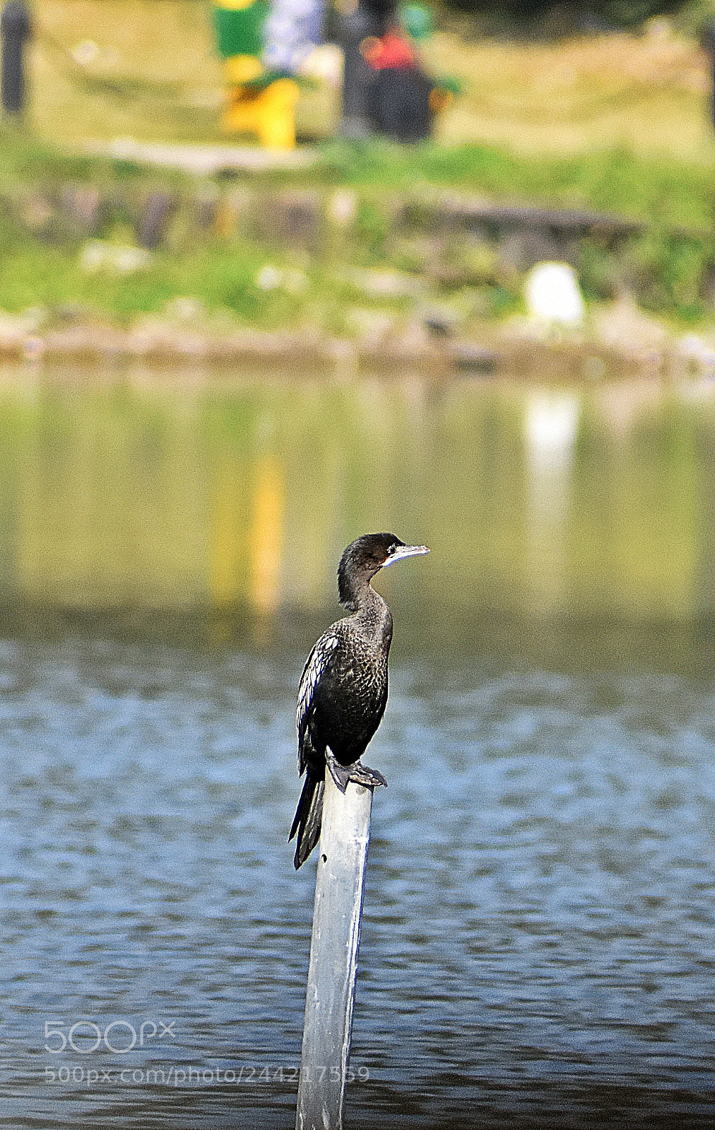 Nikon D3400 sample photo. Dsc photography