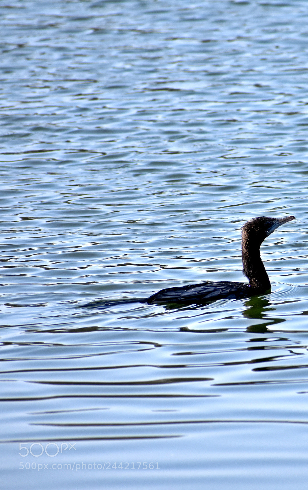Nikon D3400 sample photo. Dsc photography