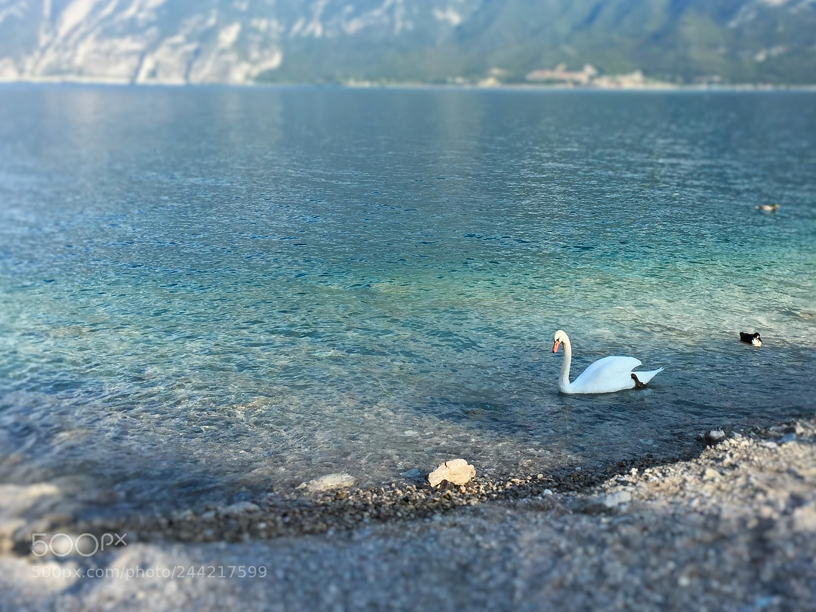 Apple iPhone 6 sample photo. See photography