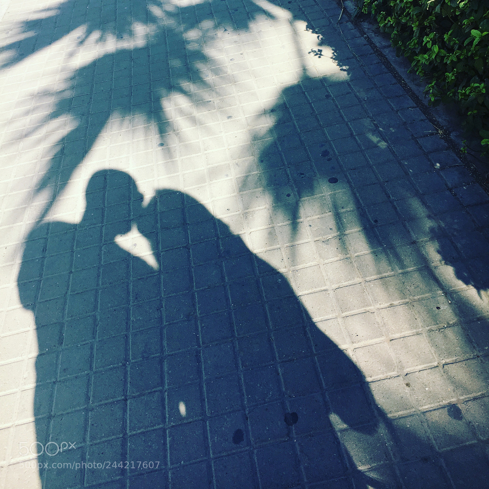 Apple iPhone 6s sample photo. Love is everywhere photography