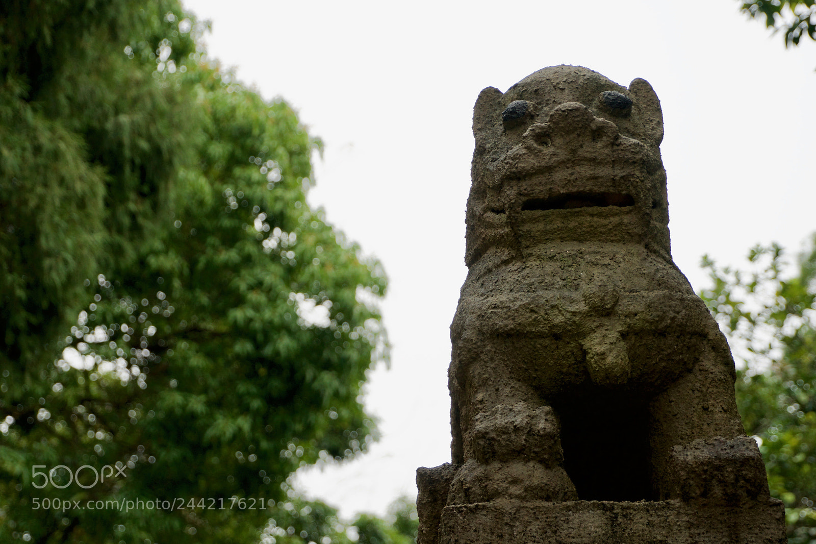 Sony a6300 sample photo. Rocky lion in the photography