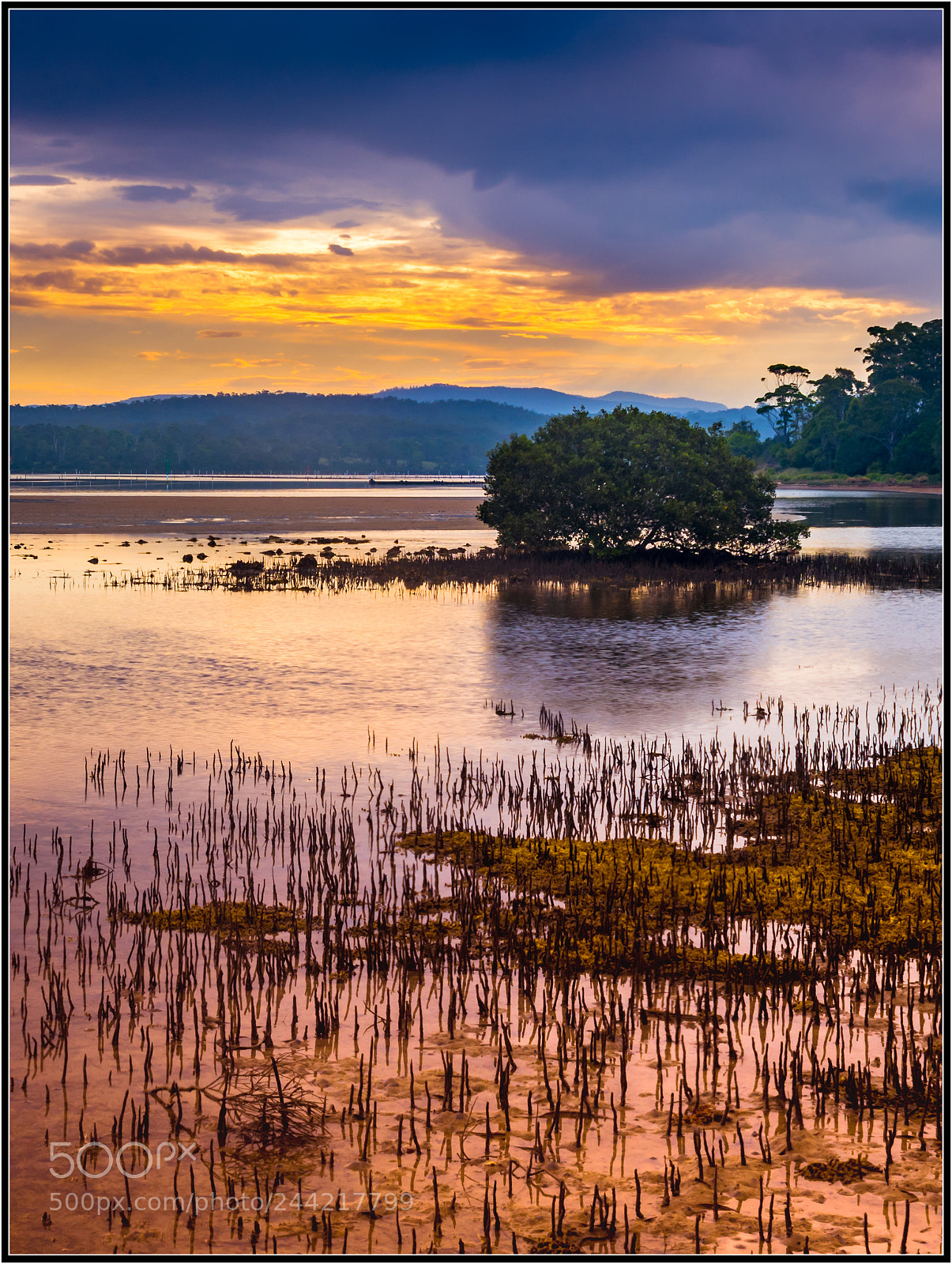 Nikon D7200 sample photo. Dramatic sky over merimbula photography