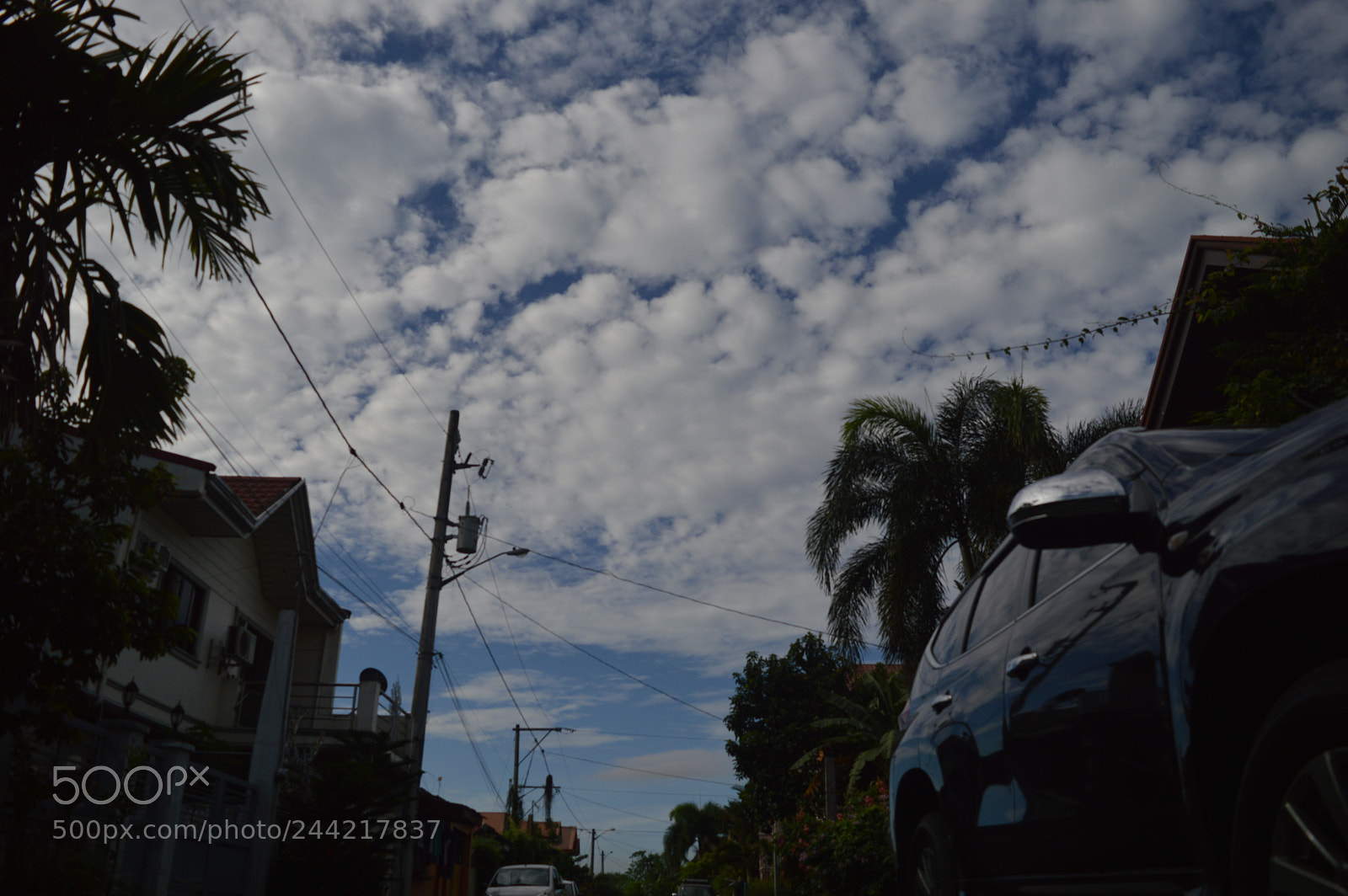 Nikon D3200 sample photo. Cotton candy skies photography