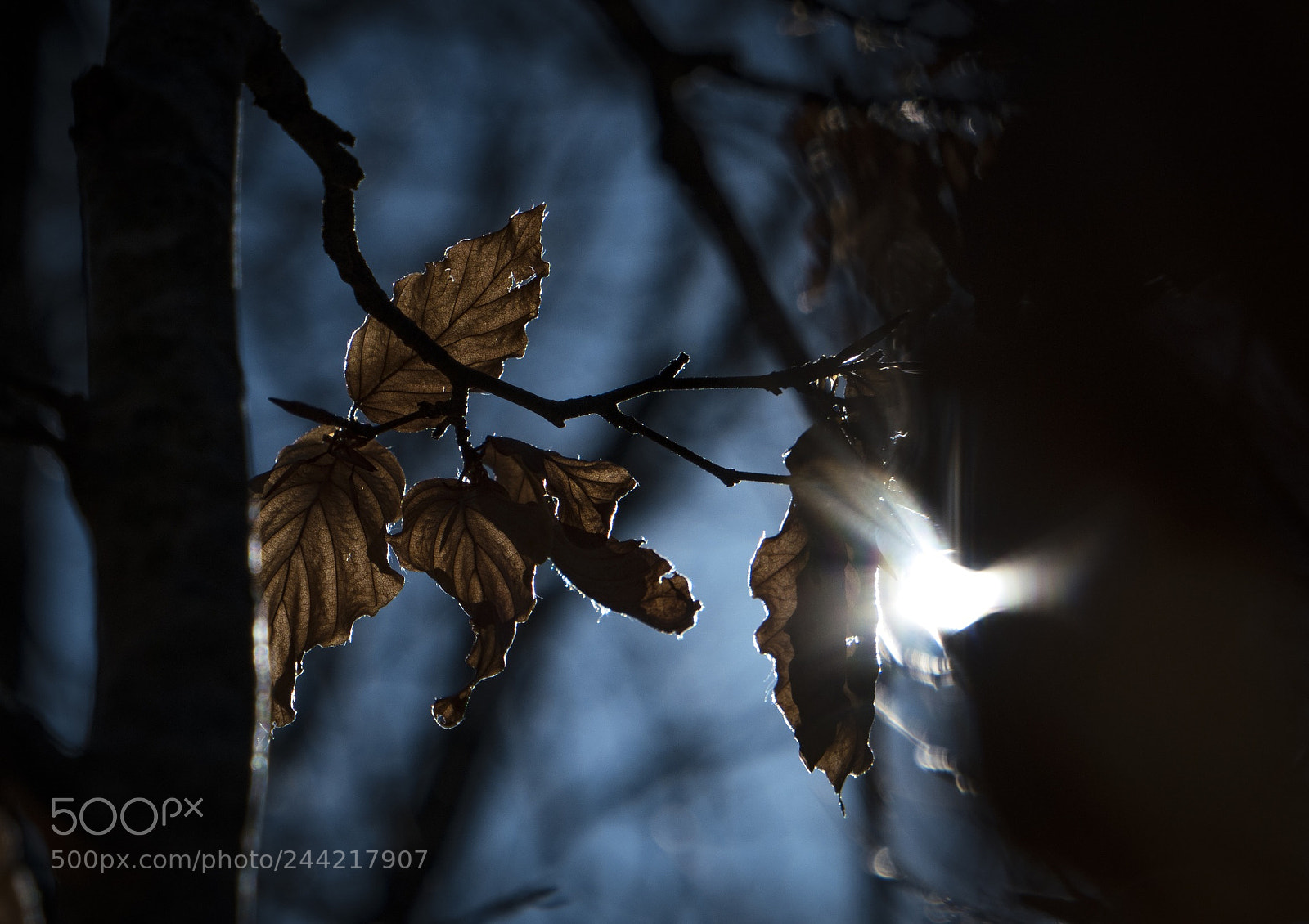 Samsung NX500 sample photo. Nei pressi del lago photography