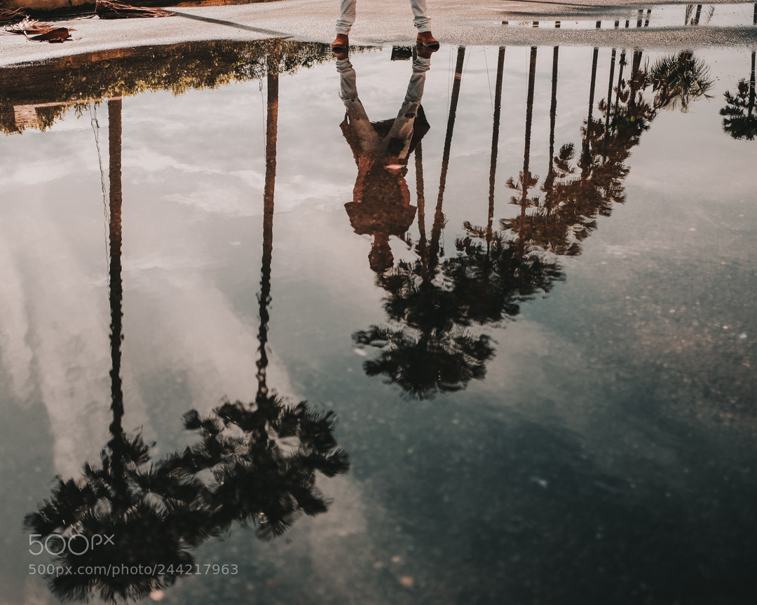 Fujifilm X-T2 sample photo. Untitled photography