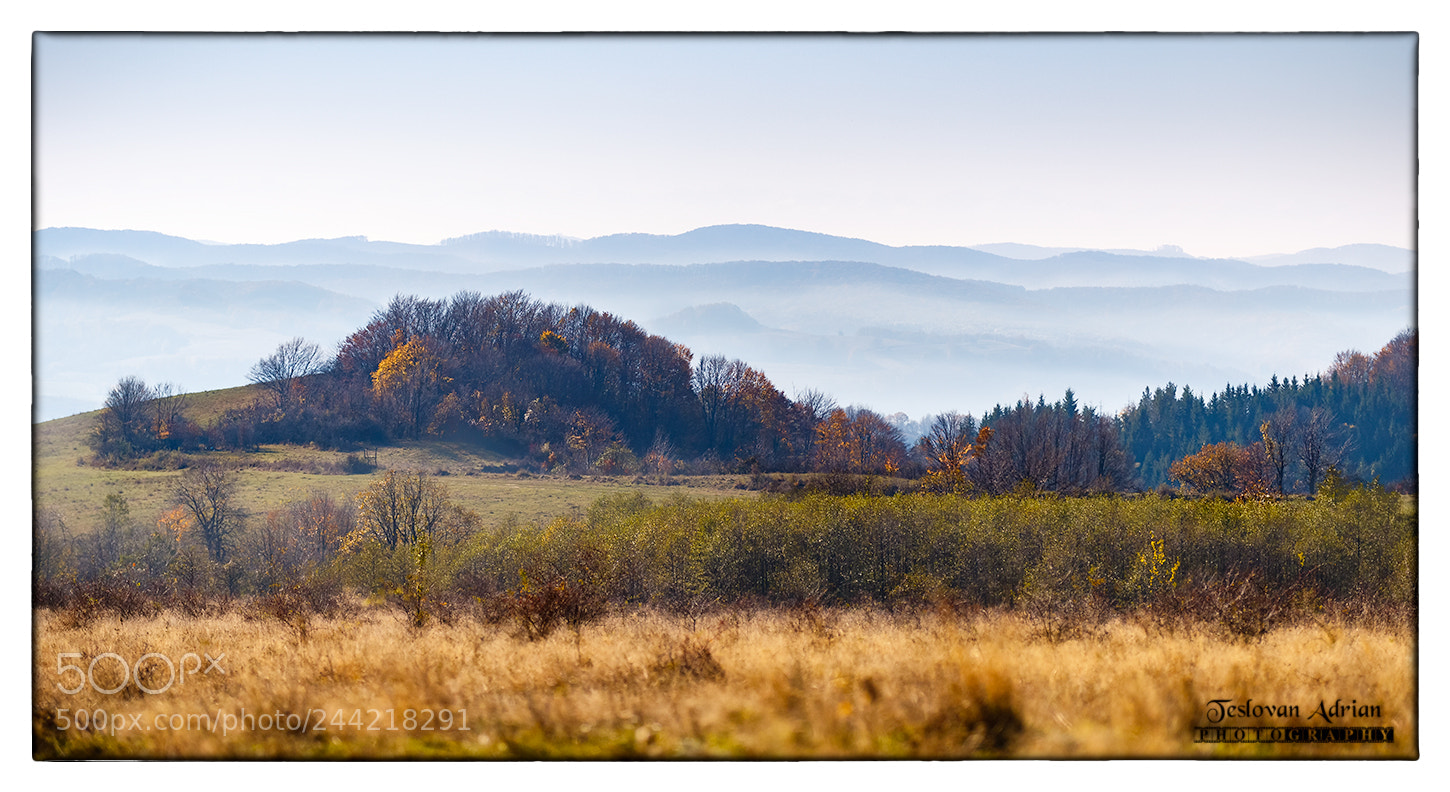 Canon EOS 7D Mark II sample photo. Opportunity photography