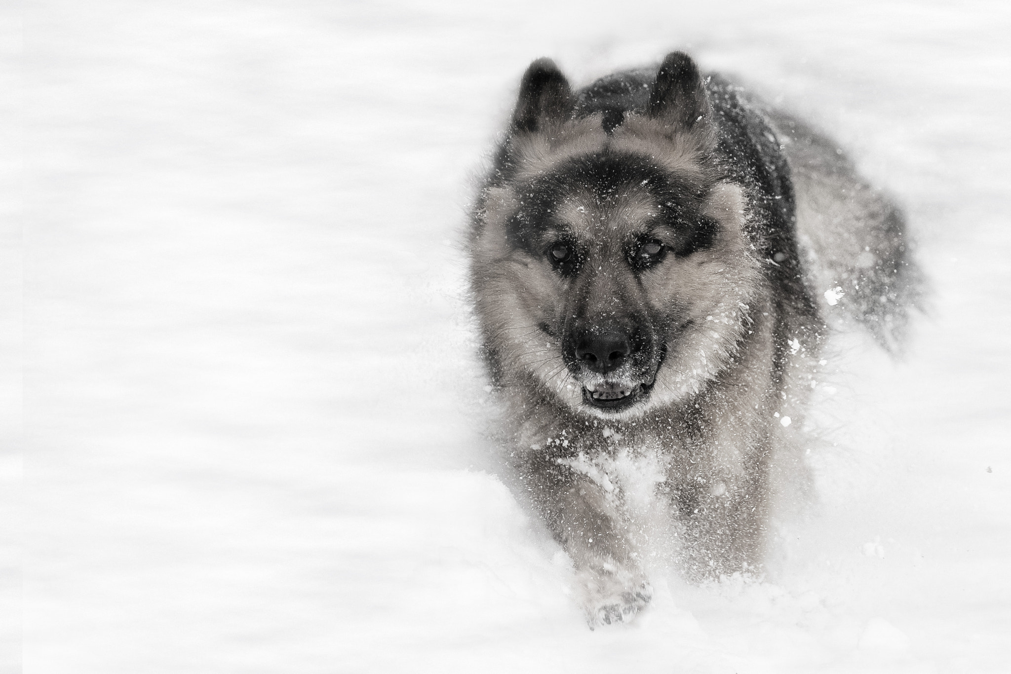 i neeeed speeeeed :)