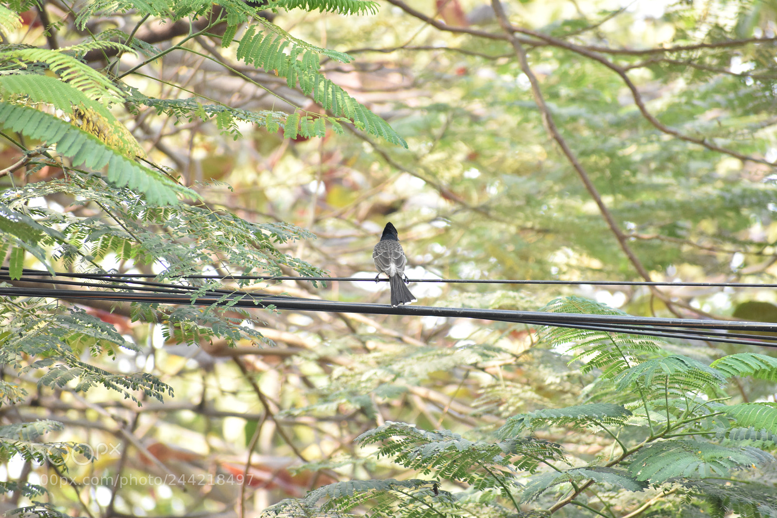 Nikon D3400 sample photo. Dsc photography