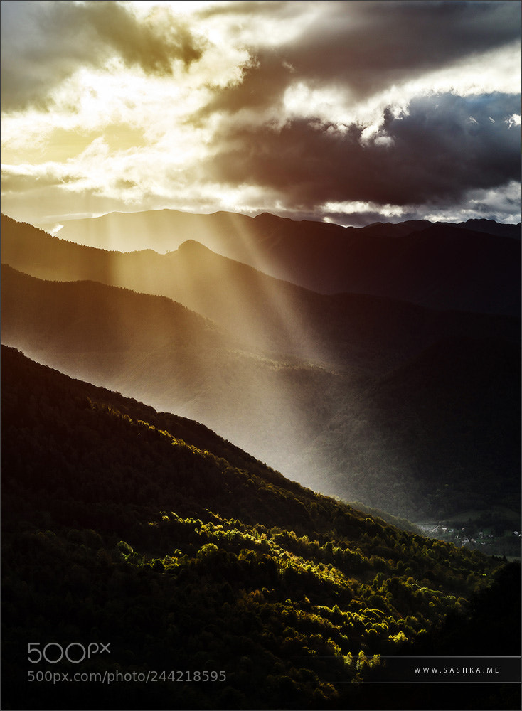 Sony Alpha a99 sample photo. Sun rays lighting through photography