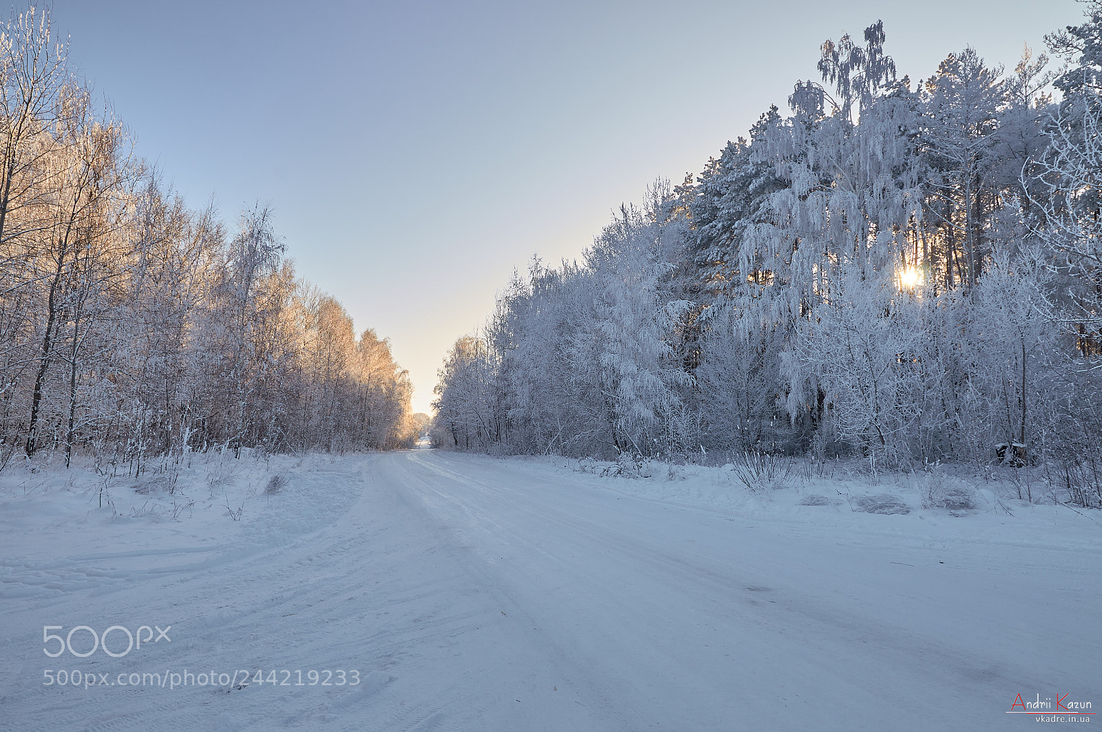 Nikon D300 sample photo. Snowy road at the photography