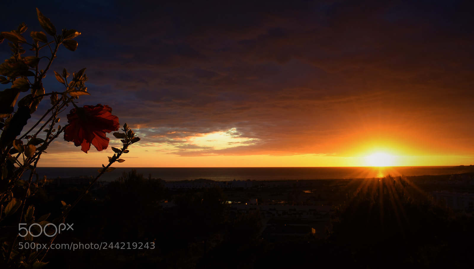 Nikon D3400 sample photo. Sunset photography