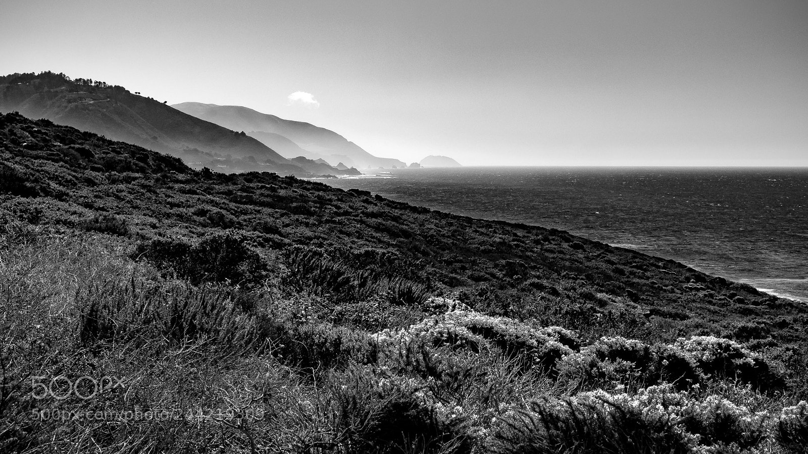 Panasonic Lumix DMC-GX7 sample photo. California coastal mist photography