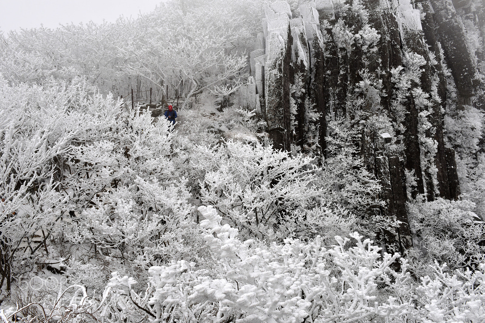 Nikon D810 sample photo. Mt mudeung photography