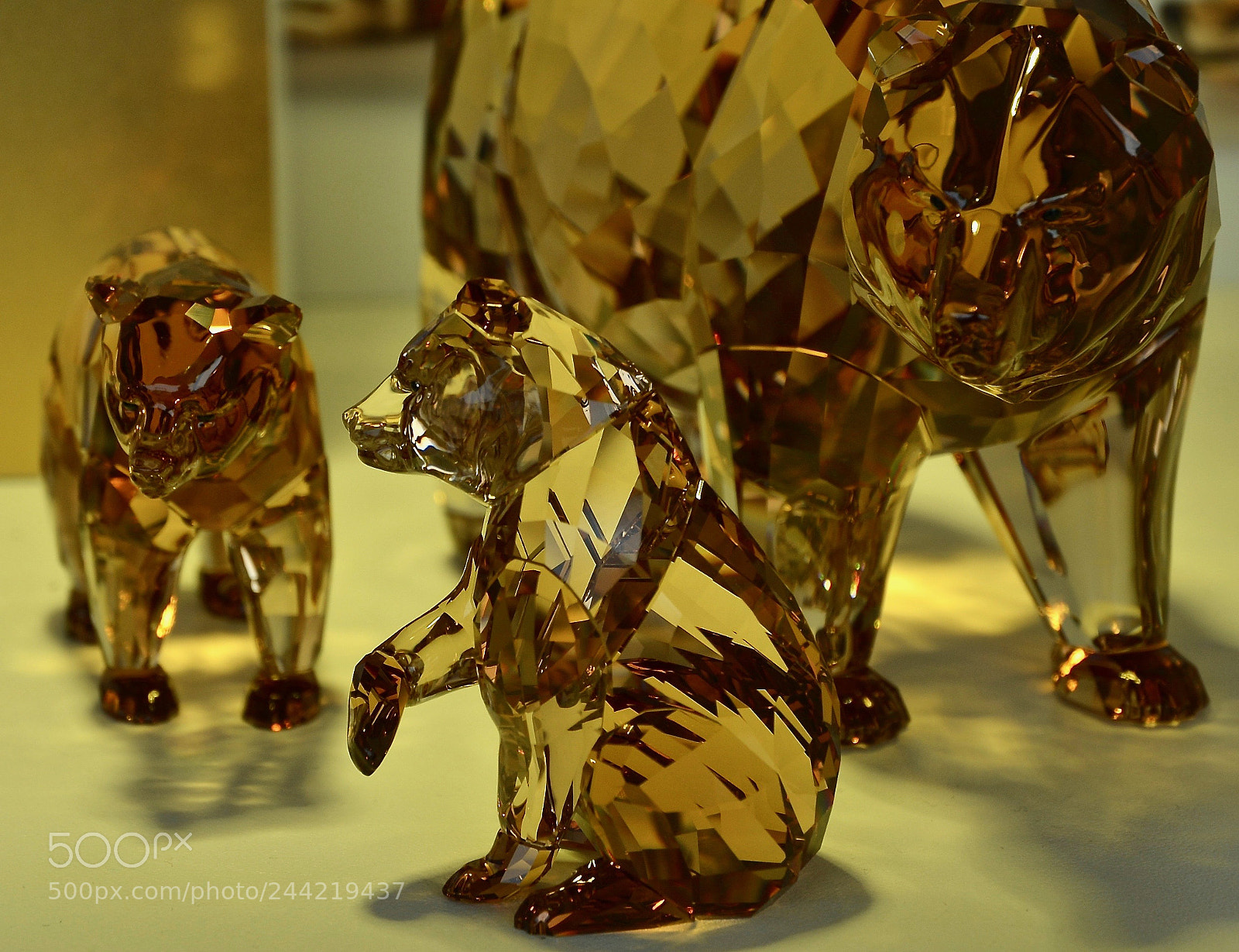 Nikon D800 sample photo. Crystal art photography