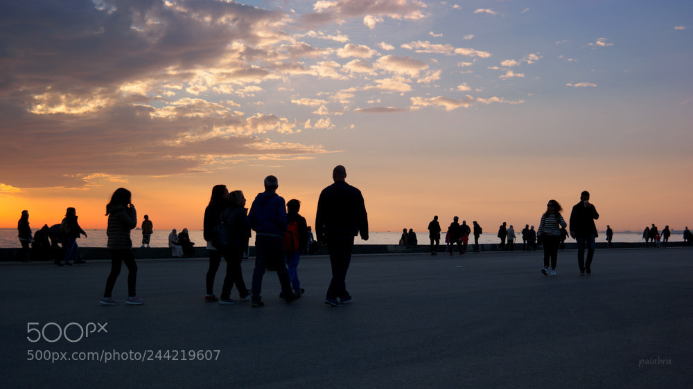 Samsung NX1 sample photo. ... photography