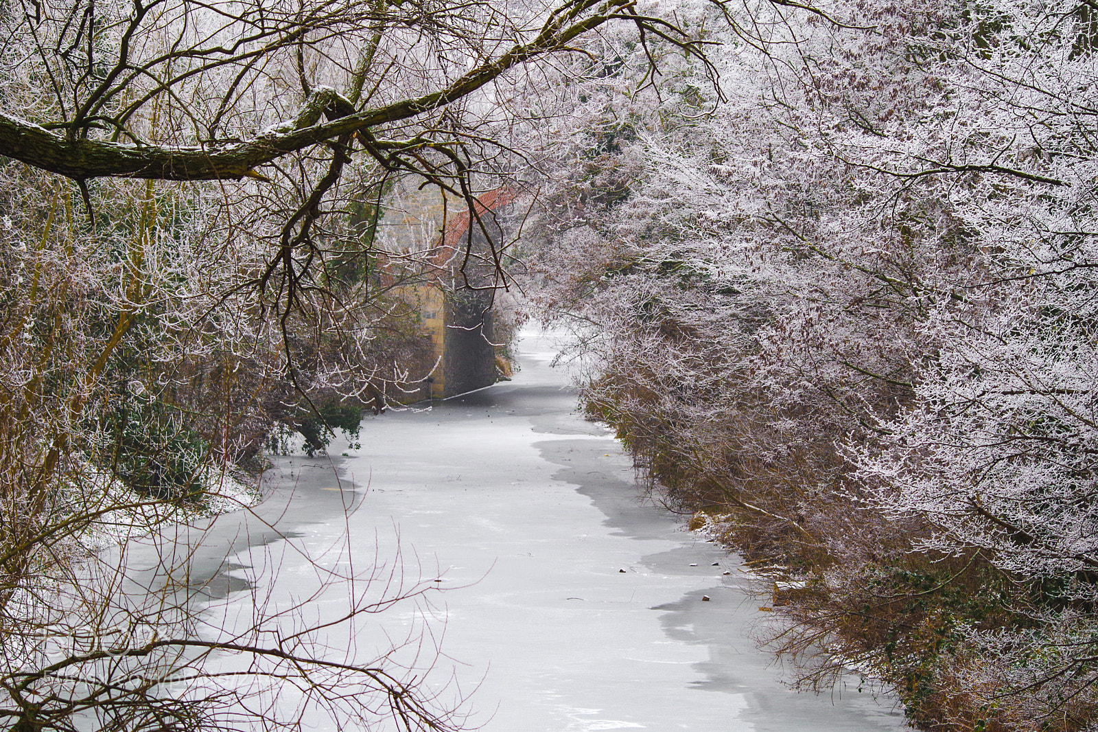 Pentax K-30 sample photo. Enchanted canal - karl-heine-kanal photography