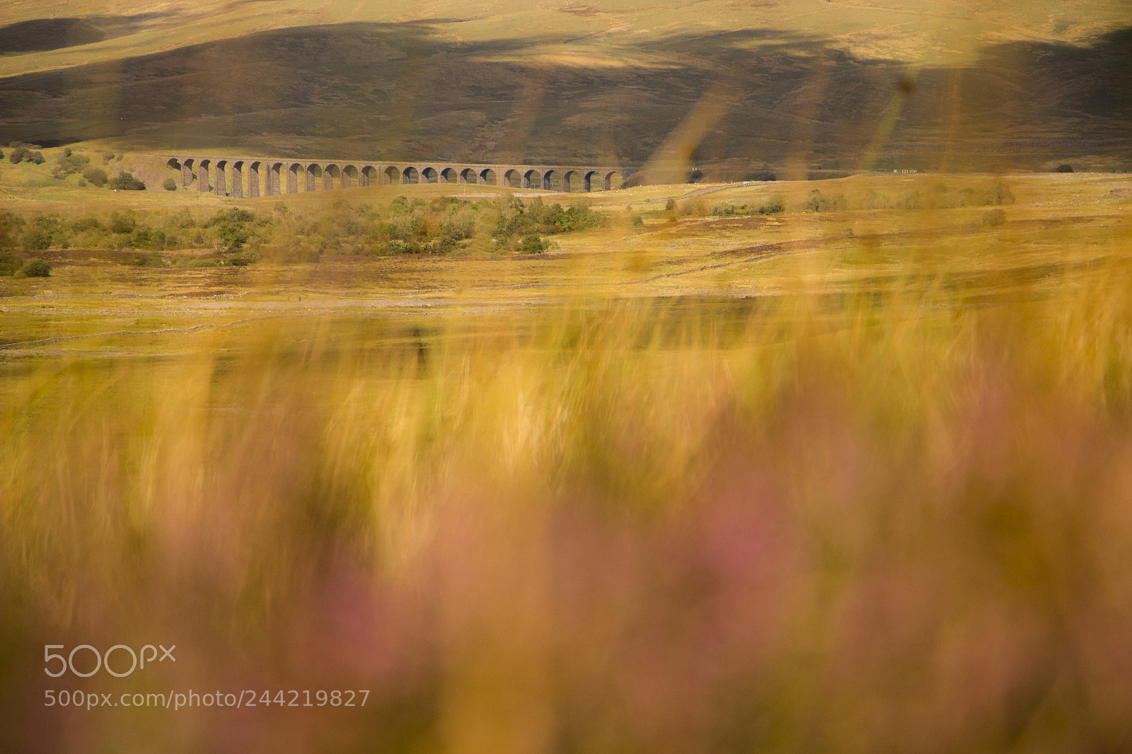 Canon EOS 100D (EOS Rebel SL1 / EOS Kiss X7) sample photo. Ribblehead viaduct photography