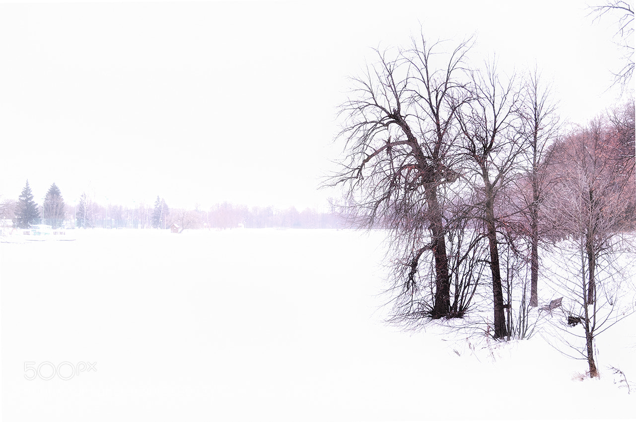 Nikon Df sample photo. Untitled photography