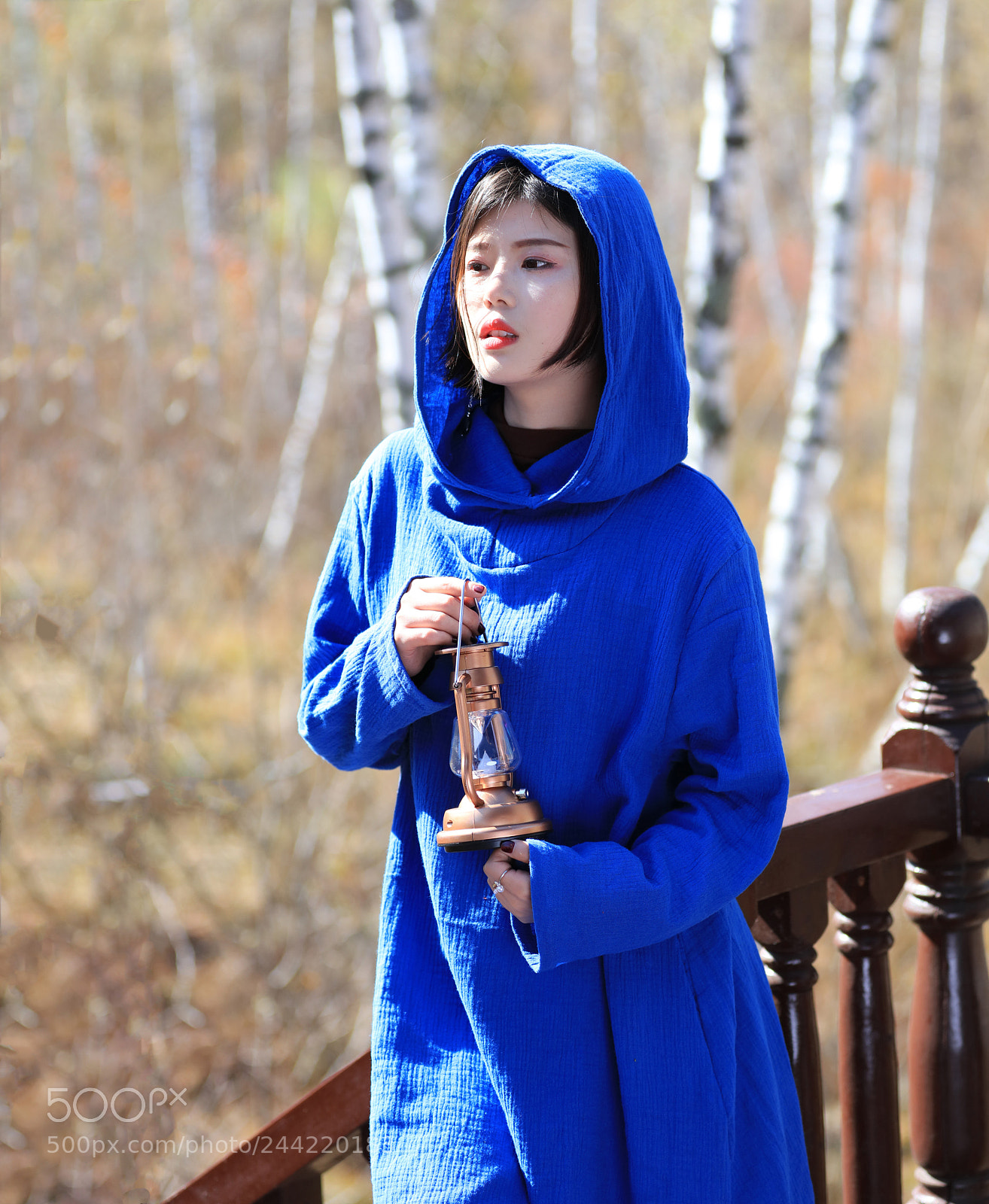 Canon EOS 5DS R sample photo. The autumn wind is photography