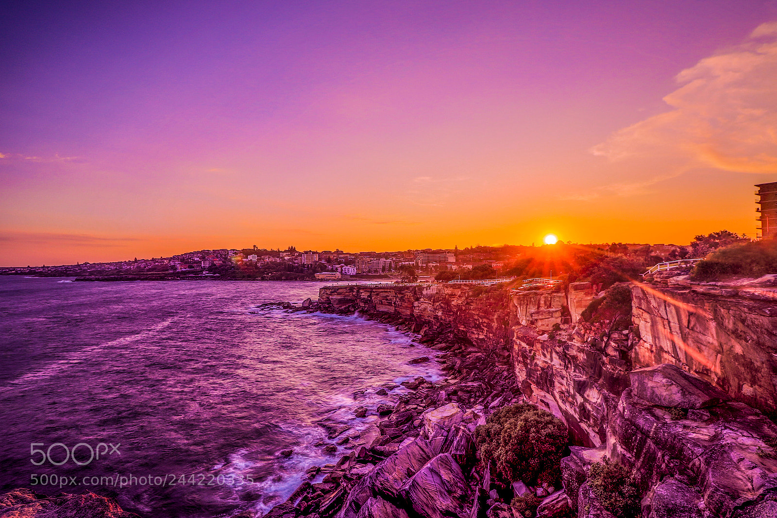 Canon EOS 7D Mark II sample photo. Coogee sunset photography