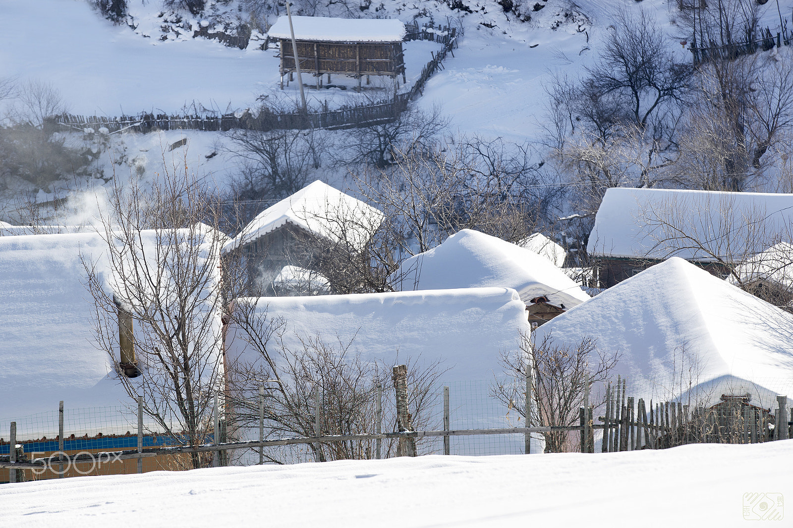 Canon EOS-1D X Mark II sample photo. Snow photography