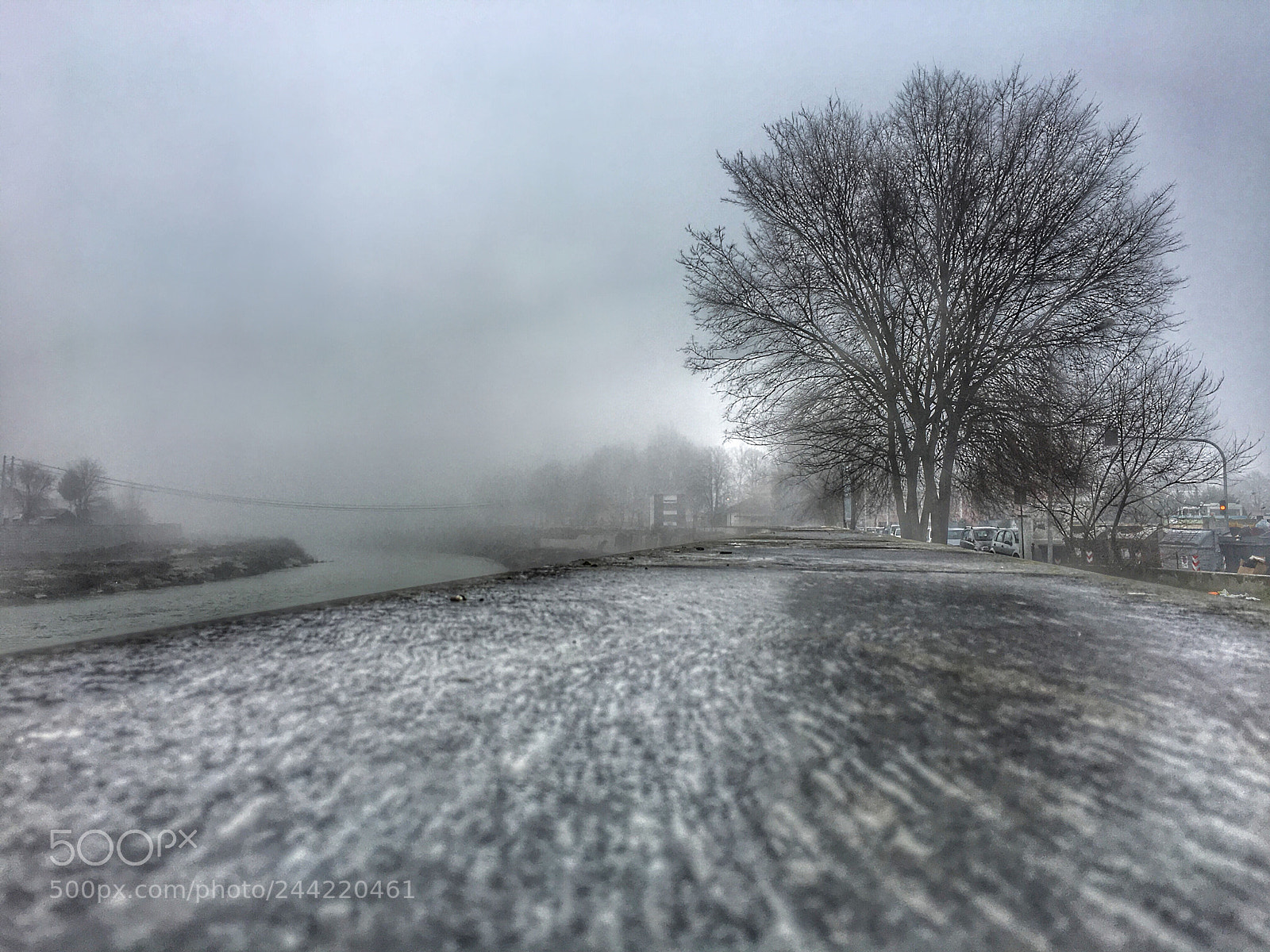 Apple iPhone 6s sample photo. Fog  photography