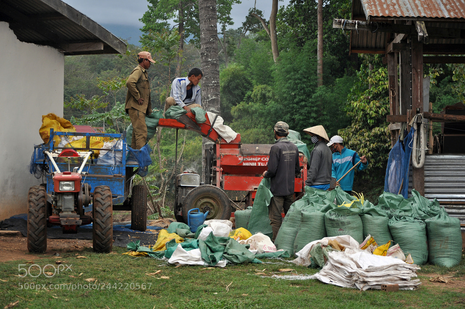 Nikon D5000 sample photo. Workers photography