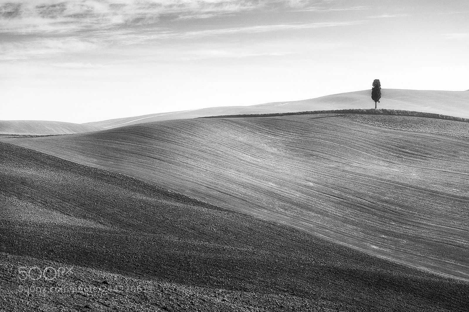 Nikon D610 sample photo. Up on the hill photography