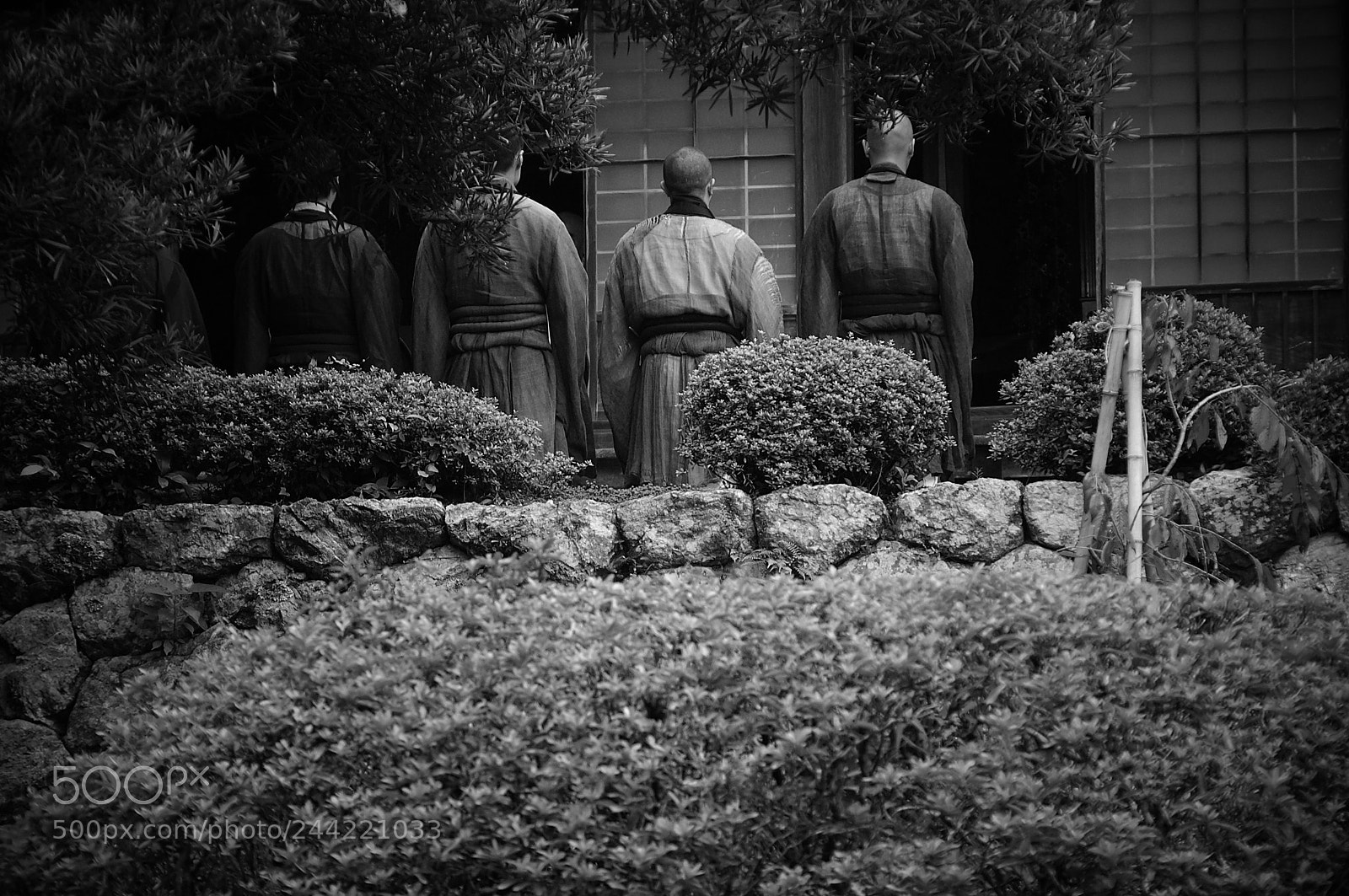 Sony Alpha NEX-6 sample photo. Mendicants photography