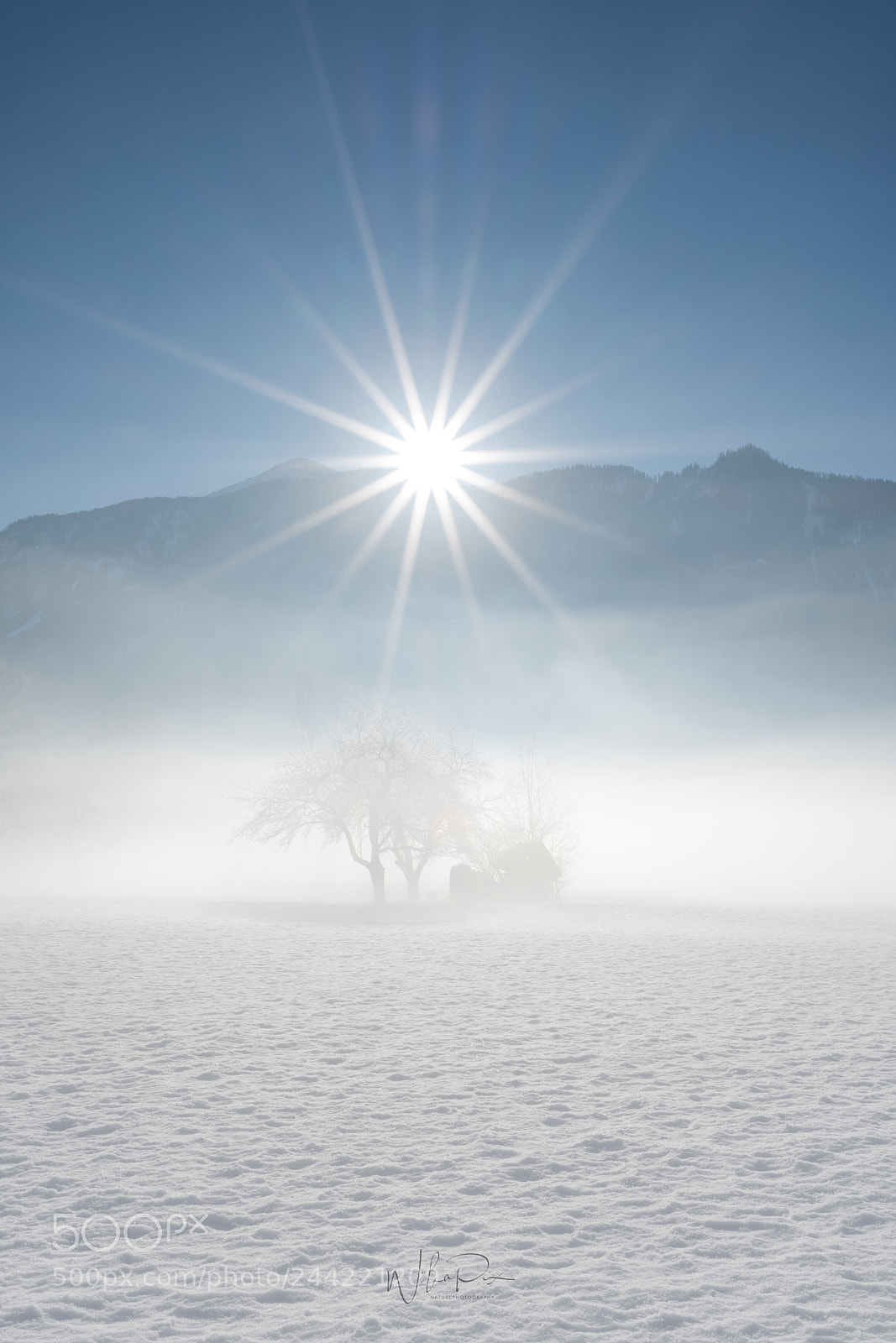 Nikon D500 sample photo. Just another monday morning photography