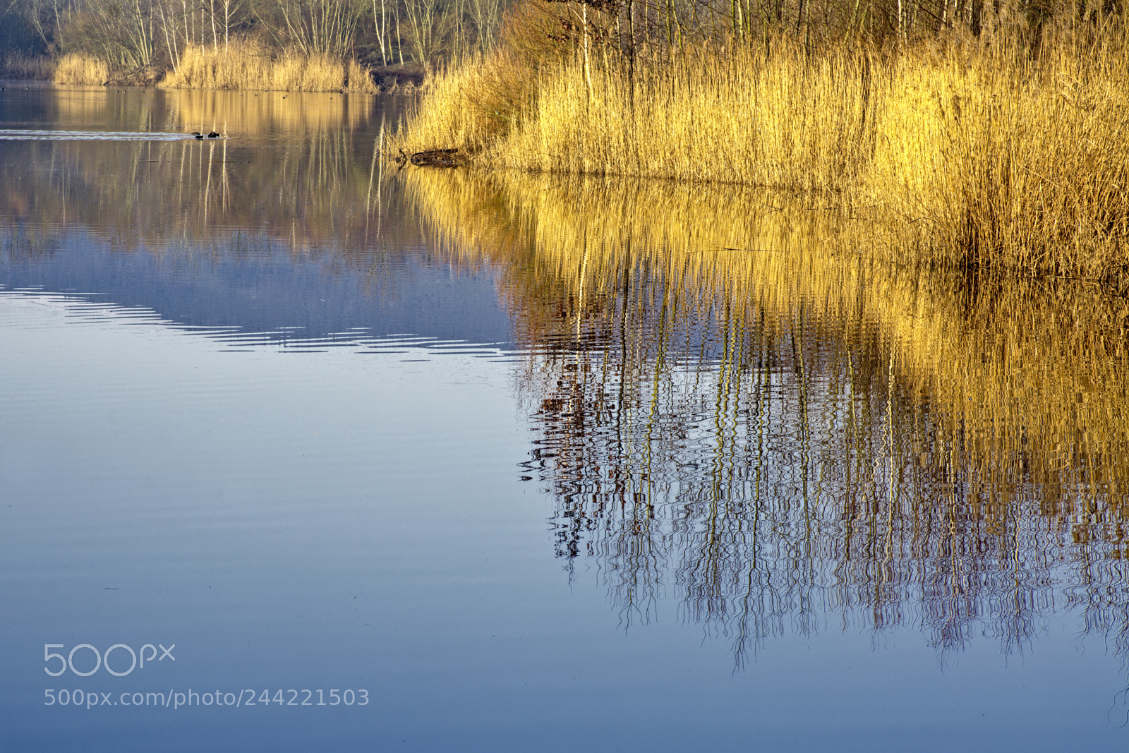 Nikon D7100 sample photo. Pond18 photography