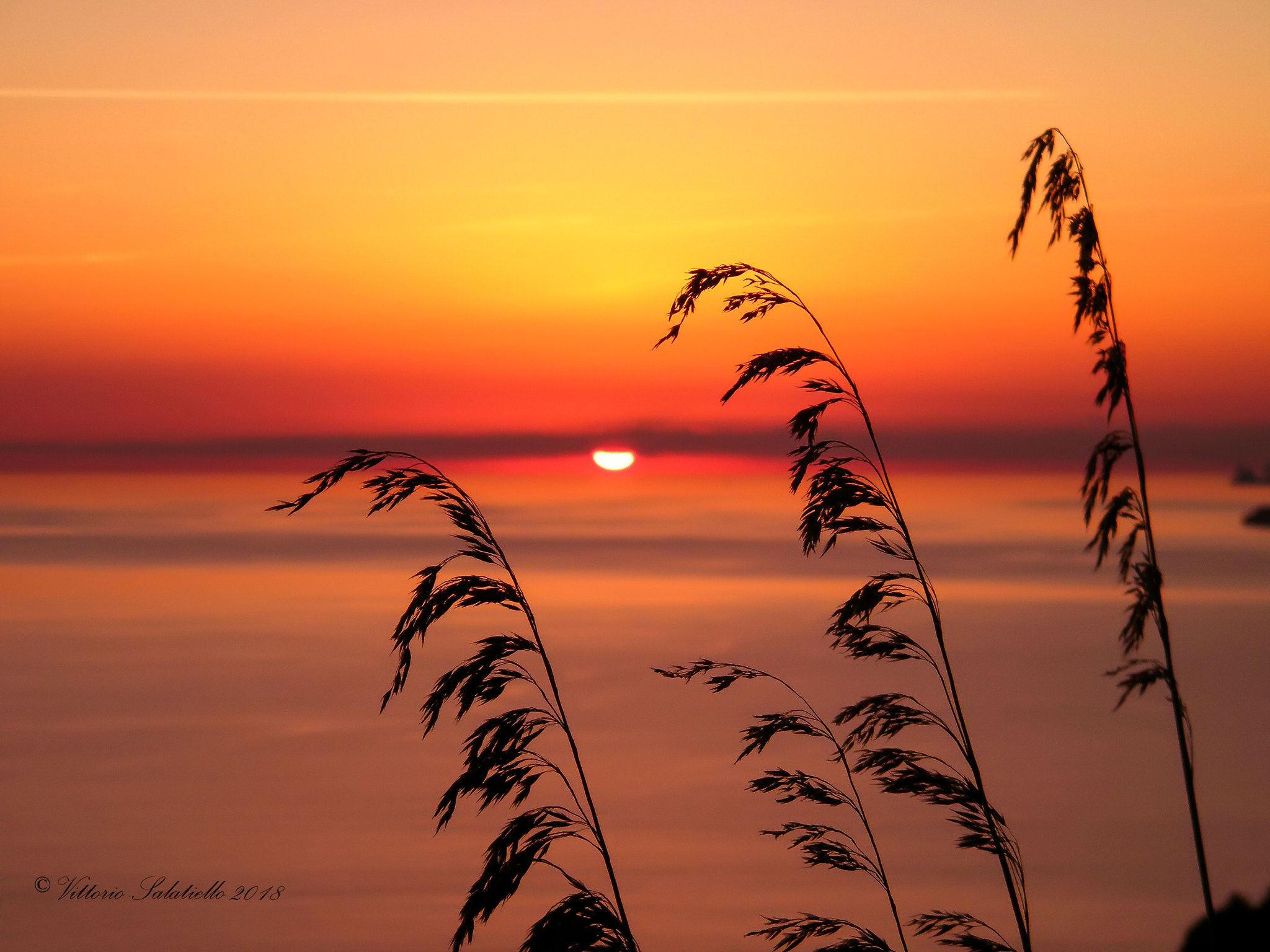 Fujifilm FinePix S2000HD sample photo. Sunset photography